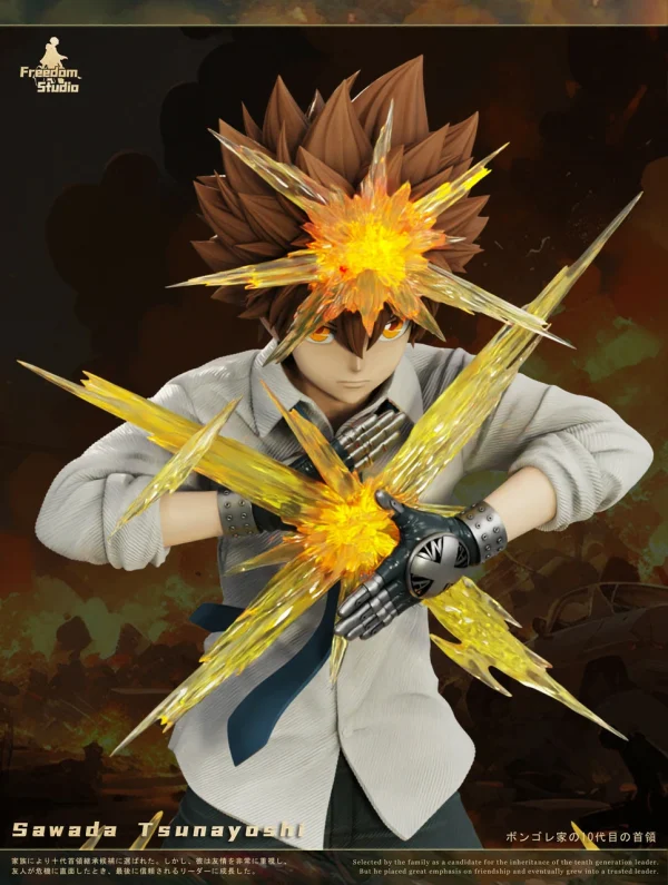 Sawada Tsunayoshi HITMAN REBORN Freedom Studio 1