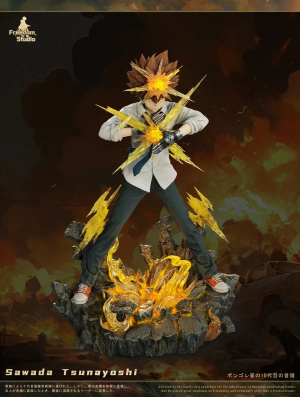 Sawada Tsunayoshi HITMAN REBORN Freedom Studio 4