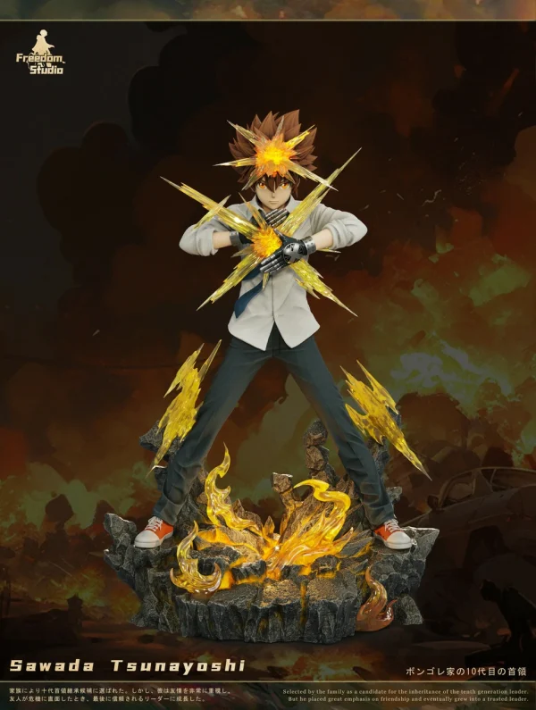 Sawada Tsunayoshi HITMAN REBORN Freedom Studio 6