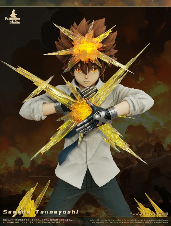 Sawada Tsunayoshi HITMAN REBORN Freedom Studio 7