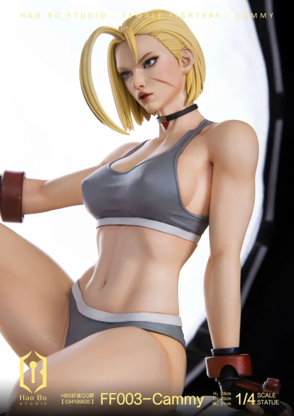 Cammy – Hao Bo Studio [Pre-sale] - Image 11